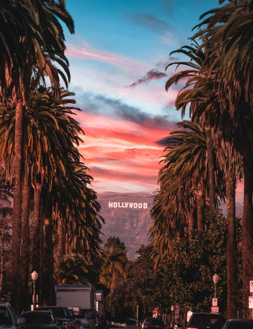 The Hollywood Diaries