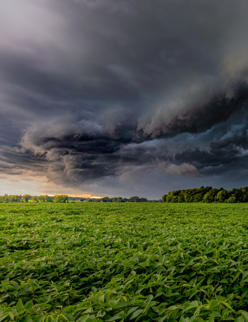 It’s Gonna Rain Chris Creswell Music and Design LLC