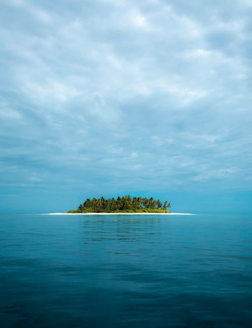 The Island