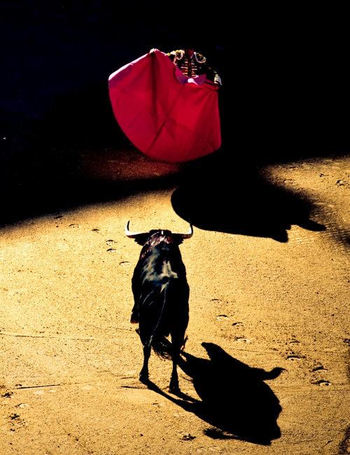 The Matador