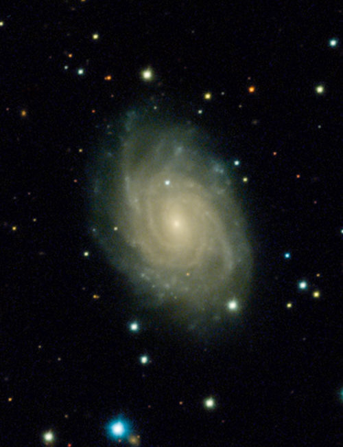 Supernova